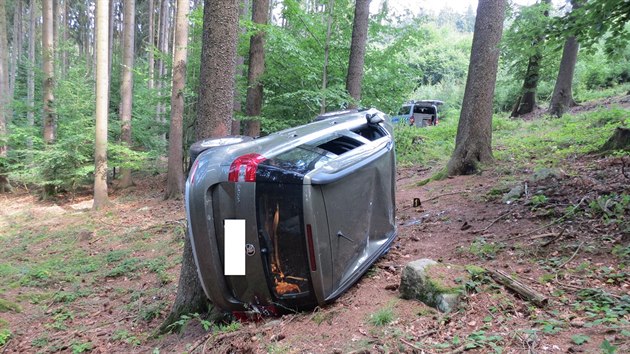 idi neudrel auto na lesn cest, pevrtil se s nm mezi stromy (4. srpna 2018)