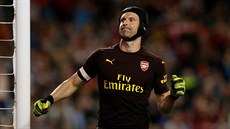 �ECHOVA RADOST. Branká� Arsenalu se raduje v p�ípravném duelu proti Chelsea,...