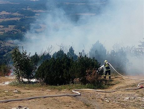 Por lesnho porostu vypukl krtce ped jedenctou hodinou.