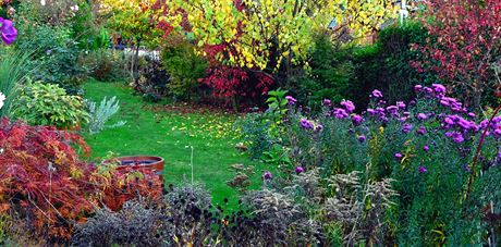 Podzim, to jsou i barevn javory, astry, brsleny, listy merunk a konec r.