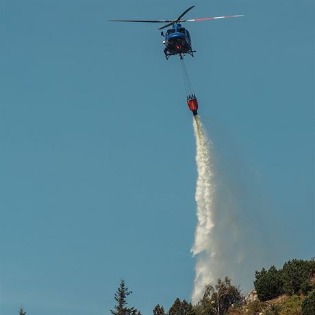 Por lesa na vrcholu Jetdu hasil i vrtulnk 13.8. 2018).