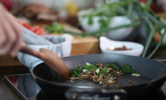 Smaen ervi ve wok pnvi (ilustran foto)
