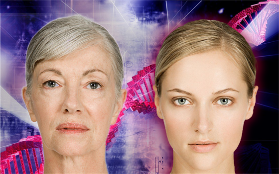Klí k procesu stárnutí tkví v DNA.