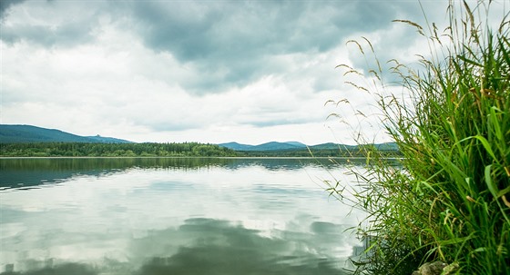Rybník Olšina se nachází v bývalém vojenském prostoru Boletice poblíž Horní...