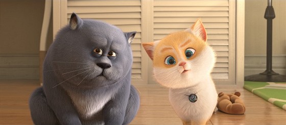 Záběr z filmu Příběh koček