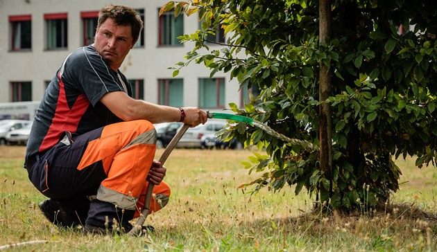 Greenery under satellite surveillance: Ústí to pilot space program, measuring tree stress