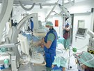 Snímek zachycující operaci, pi které lékai olomoucké fakultní nemocnice...