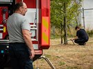Dobrovolní hasii pomáhají pracovníkm technických slueb v Hradci Králové...