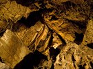 Pítí rok 23. bezna si jeskyn pipomenou 50. výroí jejich zpístupnní.