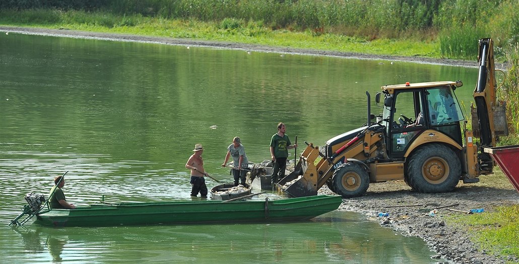 V Rybníce Nesyt na Břeclavsku uhynulo loni kvůli suchu více než sto tun ryb.