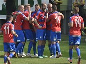 Plzeňští fotbalisté se radují z gólu v utkání proti Karviné.