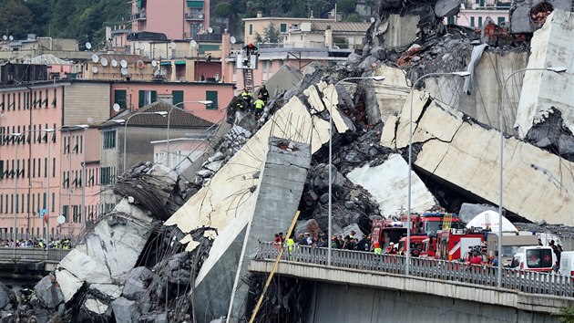 Italt zchrani pi ptrn po obtech zcenho dlninho mostu v severoitalskm Janov. (14. srpna 2018)