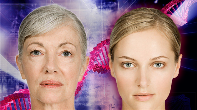 Klí k procesu stárnutí tkví v DNA.