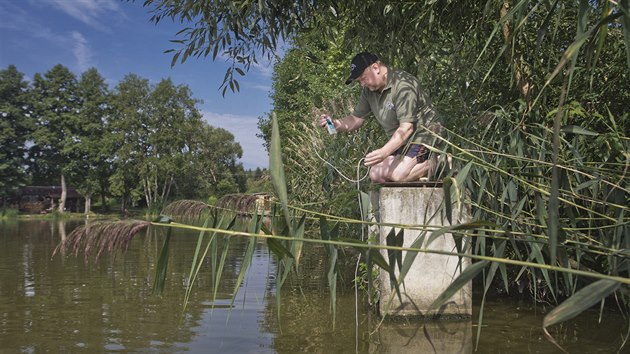 Aby nedolo k hynu chovnch ryb, funguj ve Velkm letinskm rybnku ti provzduovac zazen, kter sta tak tak zsobovat vodu potebnm kyslkem. (8. srpna 2018)