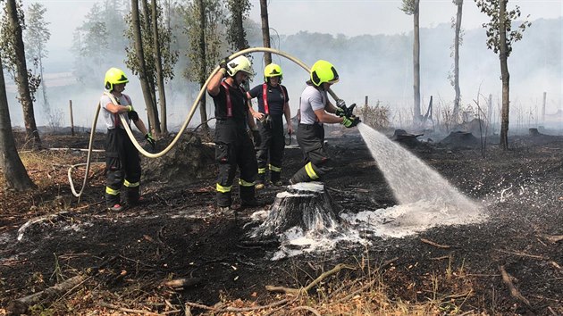 Les u obce Dolany na Olomoucku zasáhl požár (19. srpna 2018).