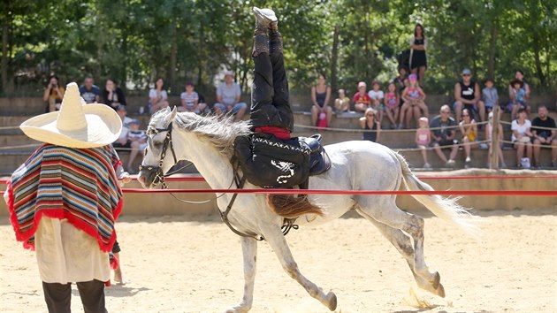 Největší hvězdou parku je kaskadér Michal Bednář, kterého návštěvníci obdivují při každodenních show s koňmi.