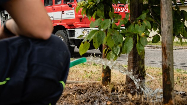 Dobrovolní hasiči pomáhají pracovníkům technických služeb v Hradci Králové zalévat stromy ve městě.