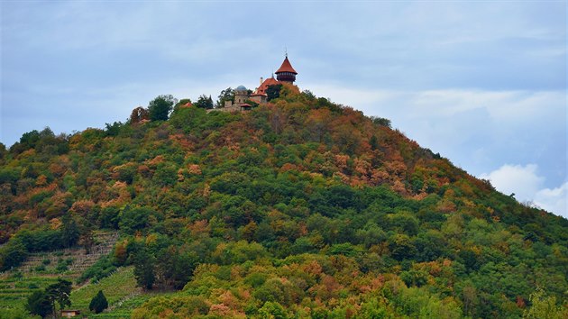 Sucho ni stromy i na Mostecku. V pozad hrad Hnvn.