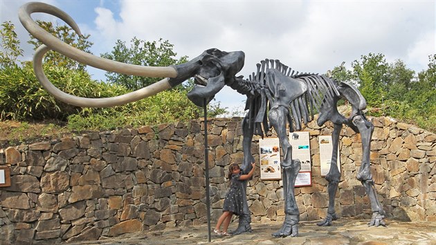 Replika kostry mamuta v ostravsk zoo.