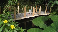 Nový m�stek u jezírka