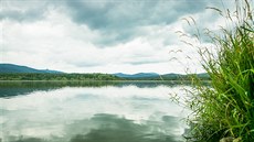 Rybník Olina se nachází v bývalém vojenském prostoru Boletice poblí Horní...