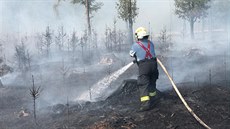 Les u obce Dolany na Olomoucku zasáhl poár (19. srpna 2018).