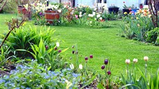 Na první se trávníku na jae se na této zahrad tí. "erstvá zelená...