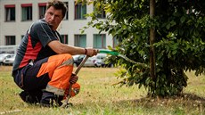 Dobrovolní hasii pomáhají pracovníkm technických slueb v Hradci Králové...