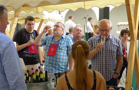 Pardubický festival vína zane u dnes a nabídne k degustaci stovky vín od tuzemských i zahraniních vina. 