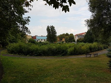 Pilaský rybník je u adu let zarostlý a jeho okolí je zanedbané. Litvínovská...