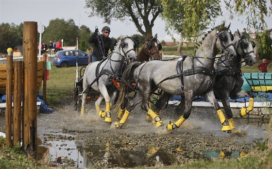 Zvody Zlat podkova v Humpolci.