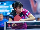 Japonka Miju Nagasakiová se chystá na píjem na turnaji Czech Open v Olomouci.