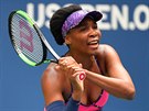 Venus Williamsová se v prvním kole US Open stetla se Svtlanou Kuzncovovou.
