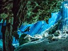 Potápní v krasových jeskyních mexického poloostrova Yucatán patí k nejhezím...