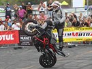 edest motocyklovch kaskadr na Czech Stunt Day pedvdlo divkm...