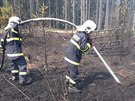 S rozshlm porem lesa bojuj hasii u Povan na Plzesku. Ohe likviduj i...