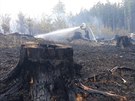 S rozshlm porem lesa bojuj hasii u Povan na Plzesku. Ohe likviduj i...