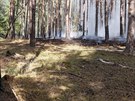 Do boje s porem lesa u Povan na Plzesku byl nasazen i vrtulnk a letadlo..