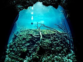 Na Yucatánu se nedávno propojením dvou zatopených jeskyní podařilo odhalit...