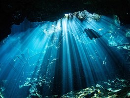 Voda v mexických krasových jeskyních je tak čistá, že sluneční paprsky dosáhnou...