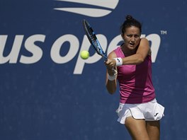 TRÁPENÍ. Španělská tenistka Lara Arruabarrenaová se při hře bekhendem trápila,...