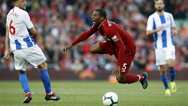 Liverpoolsk Georginio Wijnaldum pad v souboji o m v utkn s Brightonem.