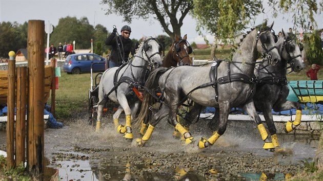 Zvody Zlat podkova v Humpolci.