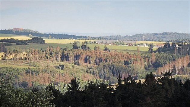 Nejhůře z celé Vysočiny je na tom Třebíčsko. Například u Pokojovic hynou celé lesy.