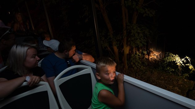 Průvodci při projížďce nočním safari osvětlují zvířata baterkou.
