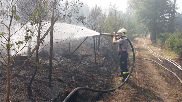 S rozshlm porem lesa bojuj hasii u Povan na Plzesku. Ohe likviduj i pomoc letadla a vrtulnku.