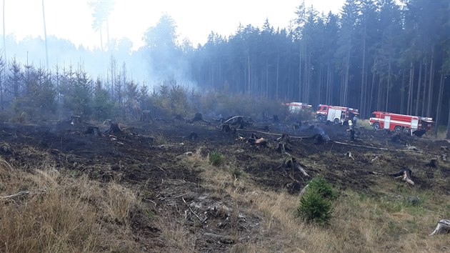 S rozshlm porem lesa bojuj hasii u Povan na Plzesku. Ohe likviduj i pomoc letadla a vrtulnku.