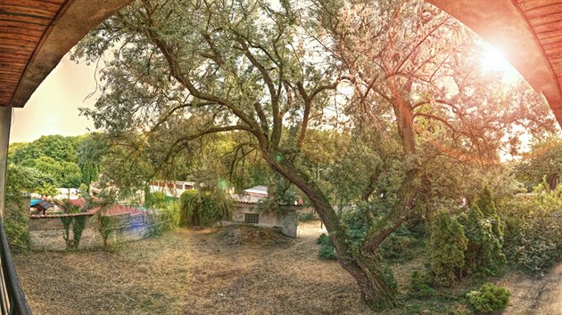 Sukova, Kladno, okres Kladno. Dky vzrostlm stromm a kem je na zahrad s velkm olivovnkem dokonal soukrom. 