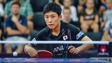 Japonský stolní tenista Tomokazu Harimoto v prvním kole Czech Open v Olomouci