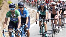 Alejandro Valverde (v zeleném) bhem Vuelty.